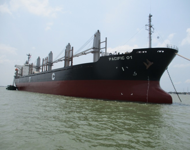 PACIFIC 01 Ship (Bulk cargo ship)