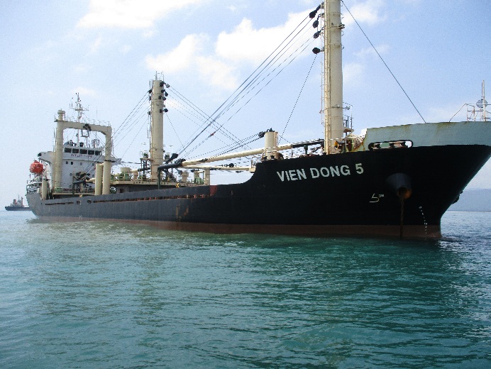 Vien Dong 5 Ship (Bulk cargo ship)